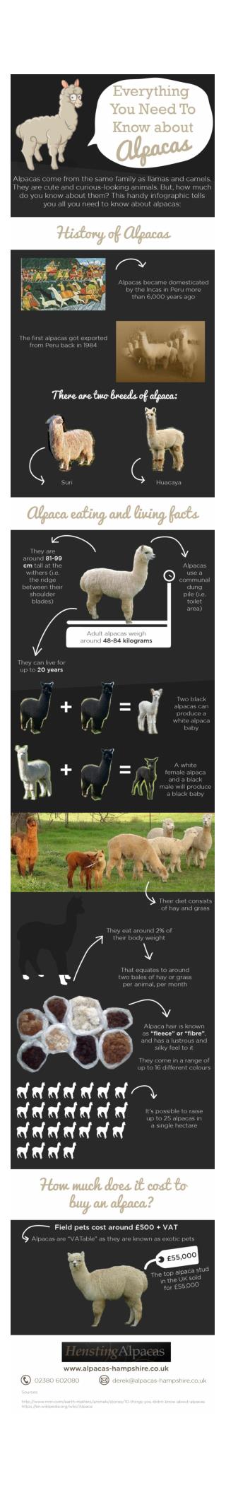 Alpaca Facts