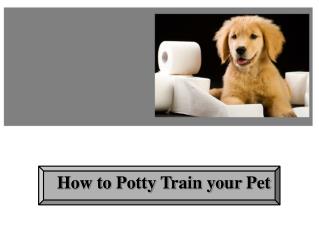 How to Potty Train your Pet