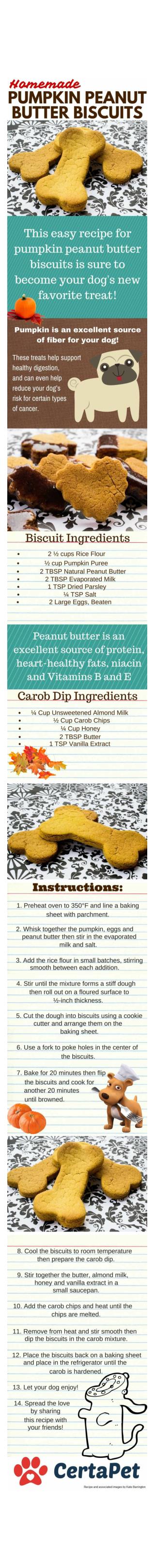 Homemade Pumpkin Peanut Butter Biscuits