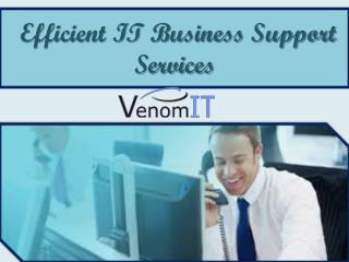 Efficient IT Business Support Service