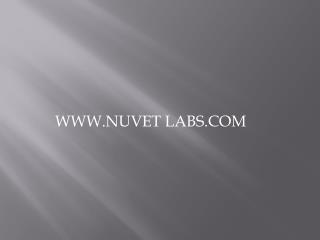 NuVet Reviews: Dogs with Seizures See Relief with NuVet Plus