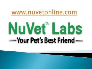 NuVet Reviews | Pet Couture: What’s Hot (And What’s Not)