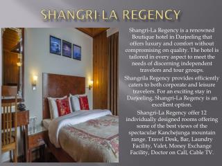 Hotel Shamgri La Regency