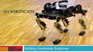 Diy robotic kits