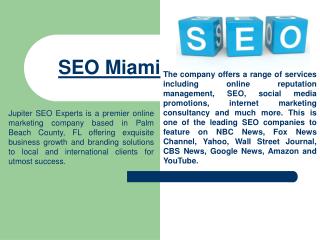 Local SEO Experts Miami