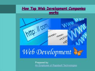 How Top Web Development Companies works