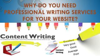 Why do You Need Professional Writing Services for Your Website?