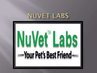 NuVet Reviews|Pets Welcome: Hotel Pet-iquette for Traveling with Your Dog