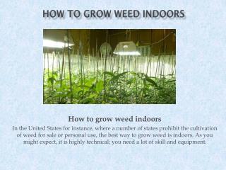 How to grow weed indoors