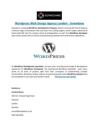Wordpress Web Design Agency London - Sowedane