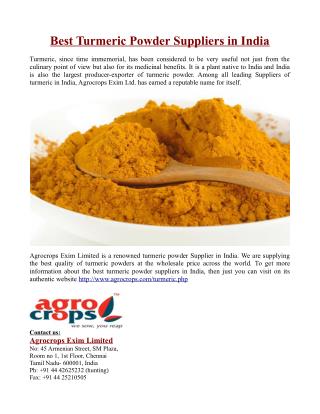 Best Turmeric Powder Suppliers in India
