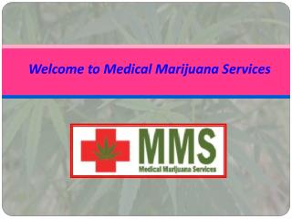 Search Medical Marijuana Doctors in Ontario