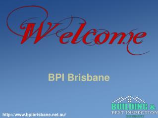 BPI Brisbane | Termite Inspections Brisbane.