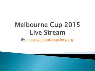 2015 Melbourne Cup Horses