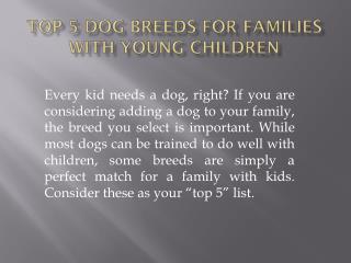 Top 5 Dog Breeds For Families With Young Children