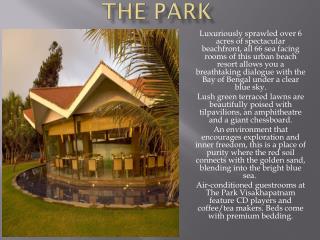 The Park