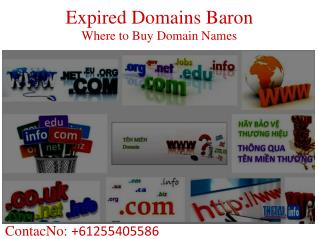 Expired Domains Baron - How to Buy an Expired Domain