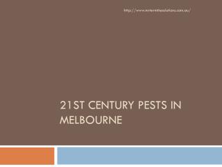 21st Century Pests in Melbourne