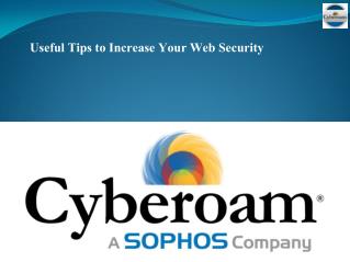 Useful Tips to Increase Your Web Security