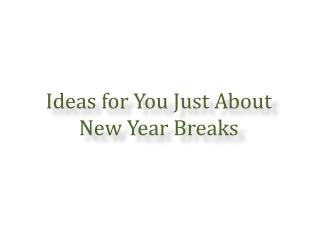 Ideas for You Just About New Year Breaks