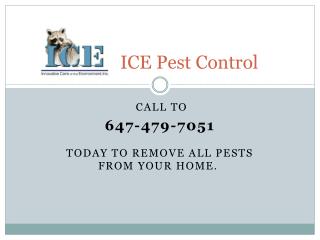 Ground squirrel pest control Toronto
