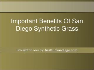 Important Benefits Of San Diego Synthetic Grass