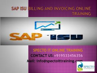 sap isu billing and invoicing online training in dubai