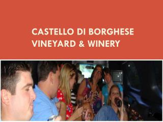 Castello Di Borghese Vineyard & Winery