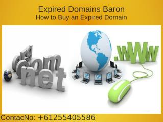 Expired Domain List From Expired Domains Baron