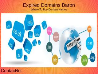 Expired Domain Names From Expired Domains Baron