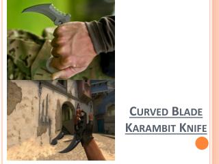 Curved blade karambit knife