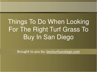 Things To Do When Looking For The Right Turf Grass To Buy In San Diego