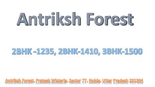 Antriksh Forest