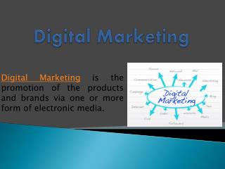 Digital Marketing Services