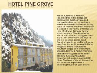 Hotel Pine Grove