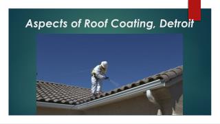 Aspects of Roof Coating, Detroit