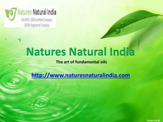 Buy Certified Natural Essential Oils at Naturesnaturalindia