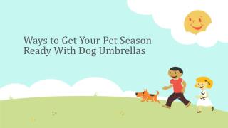 Ways to Get Your Pet Season Ready With Dog Umbrellas