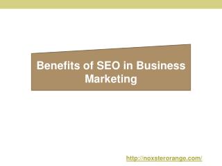 Benefits of SEO in Business Marketing