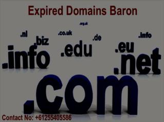 Buy Expiring Domains | Expired Domains Baron