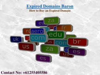 Where to Buy Domain Names | Expired Domains Baron