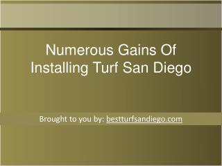 Numerous Gains Of Installing Turf San Diego