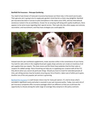 Banfield Pet Insurance