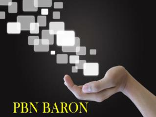 PBN Private Blog Network | PBN BARON | PBN Services