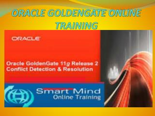 The Best Oracle goldengate online training in India, USA, UK.