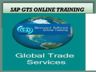 The Best SAP GTS online training institute in India, USA, UK