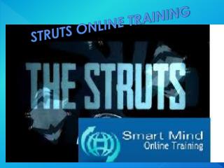 The Best Struts Online Training Program in India, USA, UK.