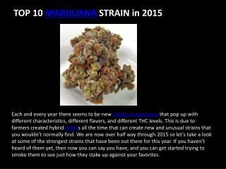 Top 10 Strongest Marijuana Strains of 2015