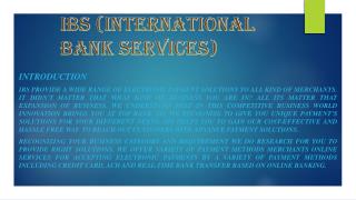 Electronic Payment Solutions with IBS