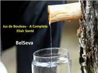 Jus de Bouleau - A Complete Elixir Santé